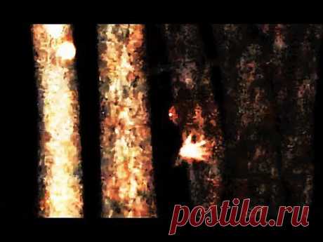 Visitors Among Us - YouTube