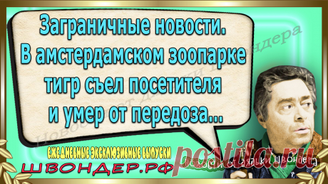 Новости от дядьки Швондера, классный анекдот, смешная фраза, веселая фенечка, смешной каламбур, известные афоризмы, смех да и только, забавные картинки, сложный юмор, непонятные анекдоты, цитаты из интернета, необычное развлечение, Швондер говорит, Шариков, Собачье сердце, улыбка до ушей, эксклюзивный выпуск новостей, ржака, потеха, фарс, наколка, проделка, шутка, юмор, анекдоты в картинках, юмор в картинках, свежие приколы, фенечка, смешная фишка, улыбка, ржачка, интересное в сети, смешок, смех