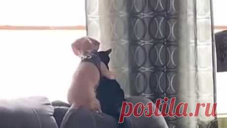 Как выглядит дружба