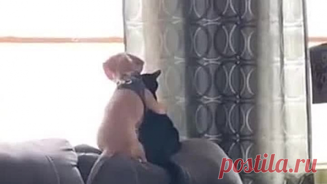 Как выглядит дружба