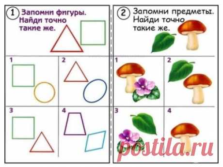 Подготовка ребенка к школе: развивающие занятия и и задания для 6-7 лет, пример программы психологической подготовки