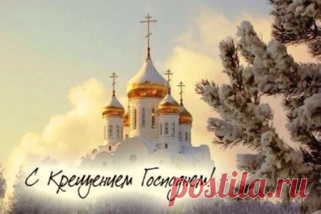 Марафон &quot;Худеем, не спеша&quot;. Одиннадцатый день: интересные факты для снижения веса и рацион питания | Дамы, давайте худеть вместе | Яндекс Дзен