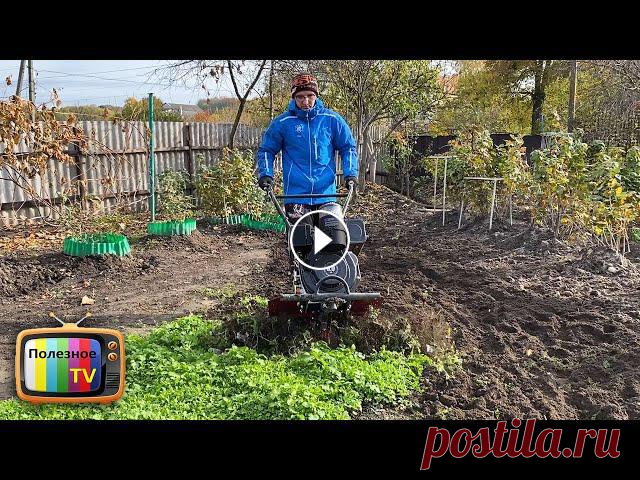 Перекапывать сидераты осень или нет - я для себя давно нашёл ответ как правильно всё сделать Подробно о мотоблоке здесь - Купить можно здесть - Ютуб канал Кентавр - ✔ Мой второй канал - ✔ Моя страница в Инстаграм - ✔ Мой фейсбук - КРУТОЙ САДОВ...