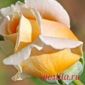 Мой Мир@Mail.Ru