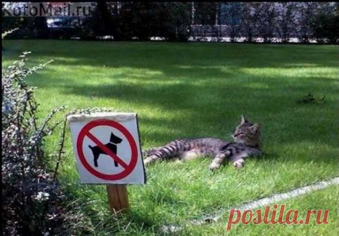Наслаждение дискриминацией)