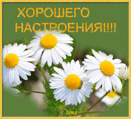 Хорошего настроения! - Картинки для комментариев анимации - Красивые картинки анимации
