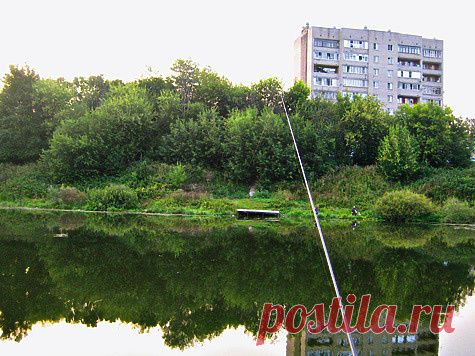 Плотва — тоже хорошо!