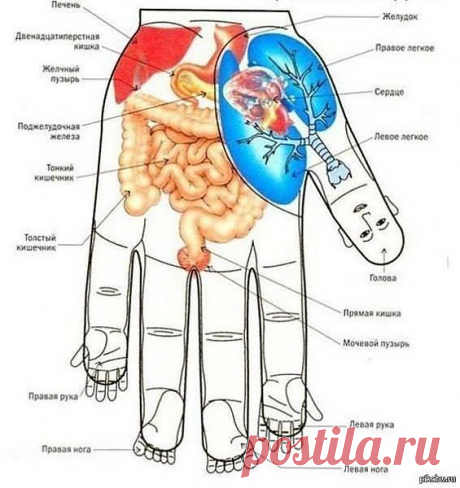 Хитрости жизни - Chronik-Fotos | Facebook