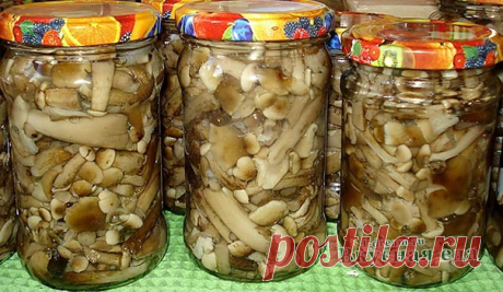 Опята маринованные