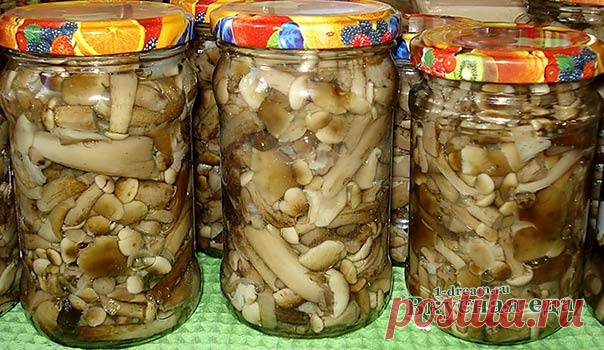 Опята маринованные