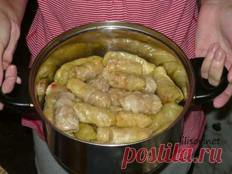 ●10 самых вкусных рецептов голубцов 
1. Голубцы с грибами
2. Голубцы по-закарпатски
3. Сарми (болгарские голубцы)
4. Ленивые голубцы
5. Голубцы с рыбным фаршем
6. Голубцы с колбасой
7. Голубцы с творогом &quot;зимняя сказка&quot;
8. Голубцы картофельные
9. Голубцы с мясом и сыром
10. Голубцы кисло-сладкие