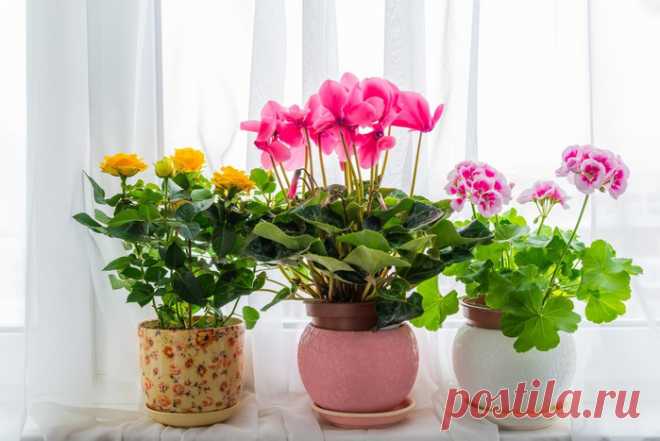 Напольные подставки для цветов