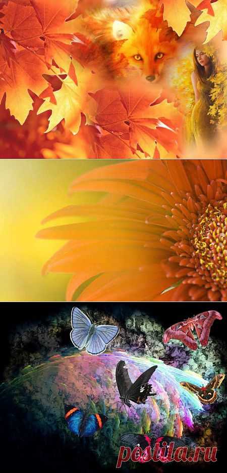 Осень-лиса -> стихи и проза на Избе-Читальне