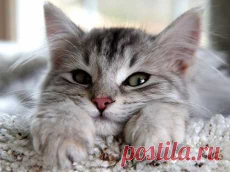 (17) Facebook