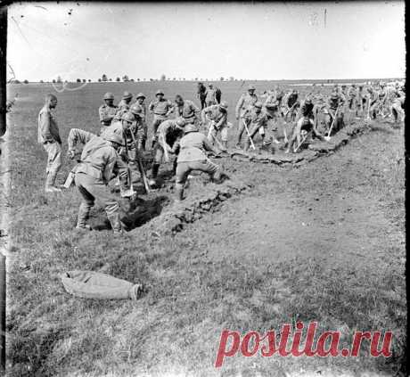 Солвремени из первой бригады генерала Лохвицкого копают траншеи в непосредственной близости от лагеря в пределах обычных тренировок, июль 1916 года. / Историческая справка