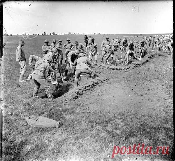 Солвремени из первой бригады генерала Лохвицкого копают траншеи в непосредственной близости от лагеря в пределах обычных тренировок, июль 1916 года. / Историческая справка