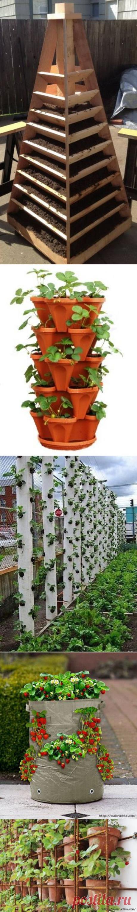 Вертикальная грядка для клубники и земляники. Идеи декора.