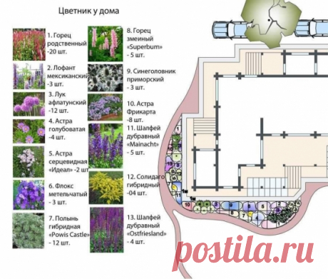 ОСНОВНЫЕ МОМЕНТЫ, КОТОРЫЕ НЕОБХОДИМО УЧИТЫВАТЬ ПРИ ВЫБОРЕ РАСТЕНИЙ ДЛЯ ОФОРМЛЕНИЯ САДА - Садоводка