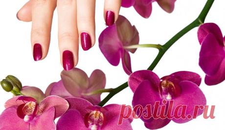 8 СЕКРЕТОВ «ДОЛГОИГРАЮЩЕГО» МАНИКЮРА - Новости 2015 год - Новости компании Faberlic - Каталог статей - Компания Faberlic (Фаберлик)-кислородная косметика
