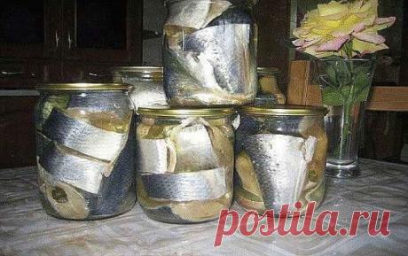 (44) Одноклассники