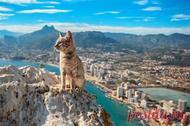 Лучшее с конкурса фотографии National Geographic 2015 | Infodays