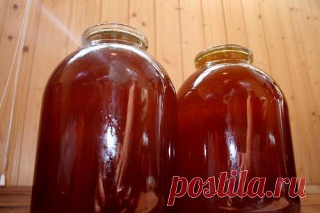 Как отличить настоящий мёд от ненастоящего?... / Лайфхак, полезные советы / ПолеЗныЕ СоВеТы / Pinme.ru