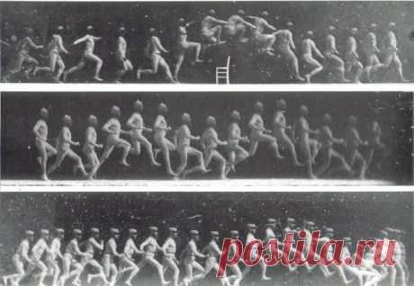 О чем может сказать наша походка | Домохозяйки