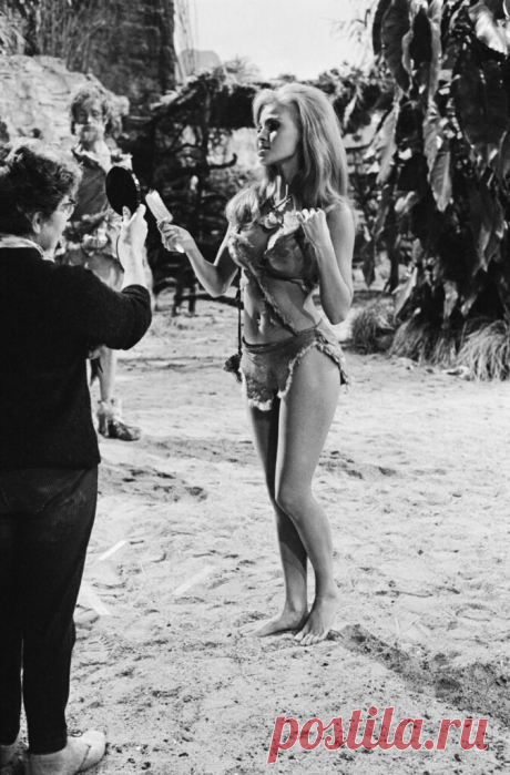 Raquel Welch – t17 – TiPiTi.info