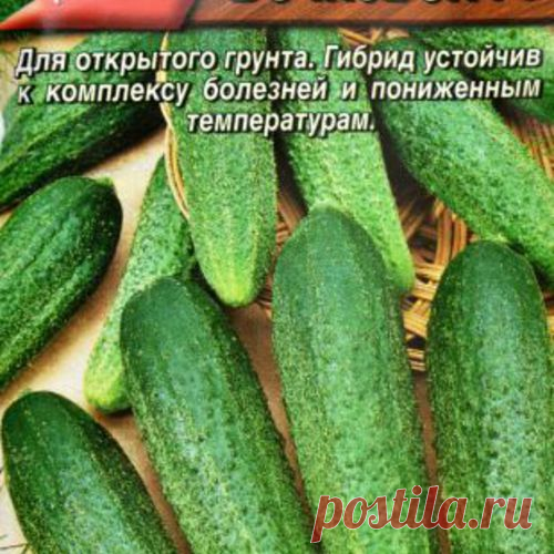 Семена. Огурец пчелоопыляемый 