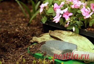 ОКТЯБРЬ.СЕЗОННЫЕ РАБОТЫ В САДУ И ОГОРОДЕ.