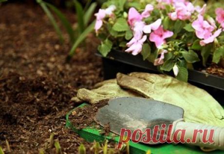 ОКТЯБРЬ.СЕЗОННЫЕ РАБОТЫ В САДУ И ОГОРОДЕ.