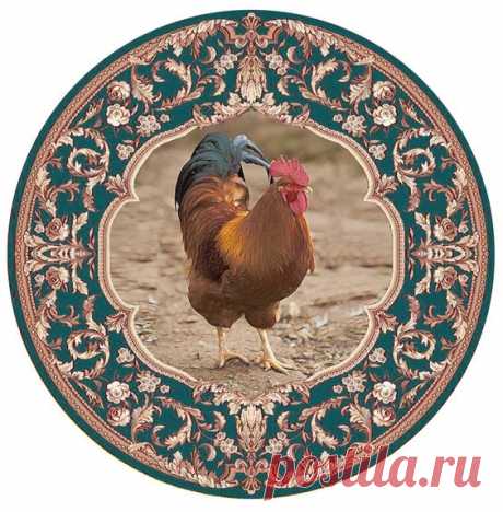 Международный университет декупажа