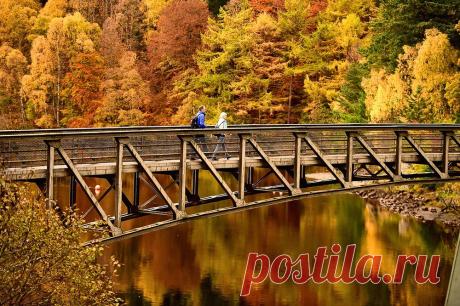 Autumn In The UK - Cool Digital Photography