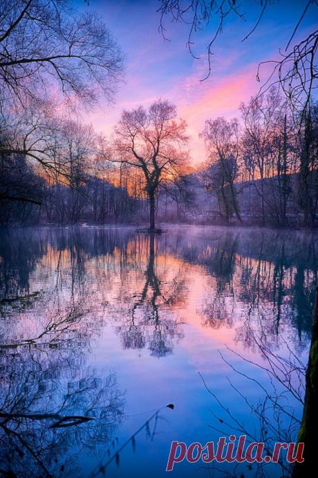 легенда о дереве