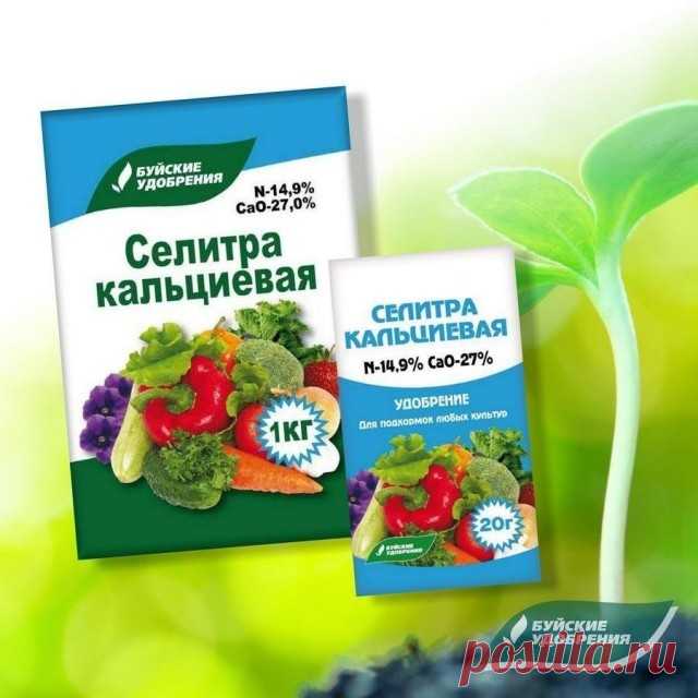 Зачем нужна кальциевая селитра? — Ботаничка.ru