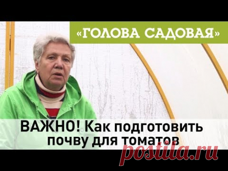 Голова садовая - ВАЖНО! Как подготовить почву для томатов