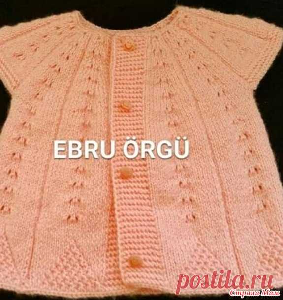 Жилетка 
