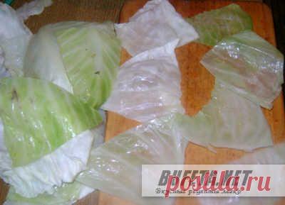 Маринованные овощные голубцы по корейски - Простые рецепты Овкусе.ру