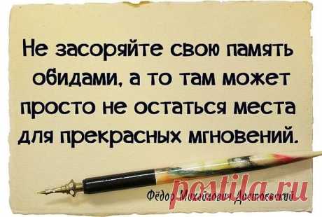 мудрые высказывания про тех кто ищет неприятности: 10 тыс изображений найдено в Яндекс.Картинках