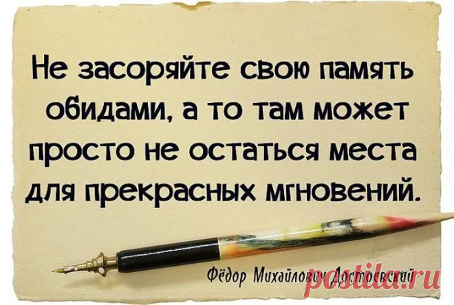 мудрые высказывания про тех кто ищет неприятности: 10 тыс изображений найдено в Яндекс.Картинках