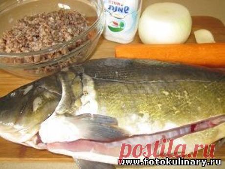 Карп фаршированный гречкой - Вторые блюда - Кулинарные рецепты ! - ФотоКулинария