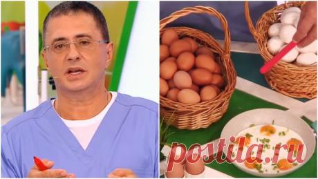 Доктор Мясников рассказал, сколько куриных яиц можно есть в день, и развеял мифы о них | Новости
