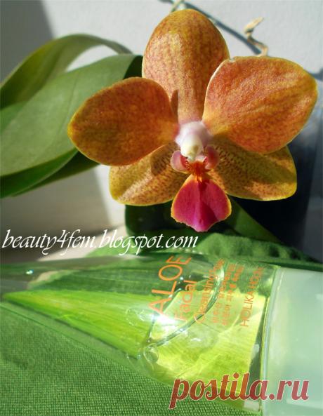 Красота - добрая сила: Пенка для умывания Holika Holika: отзывы о Facial Cleansing Foam Aloe