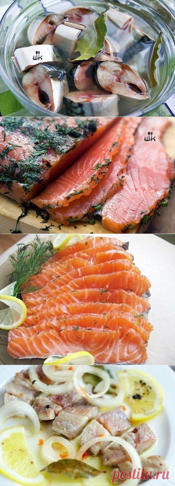 Солёная, маринованная, копчёная рыбка? Легко!