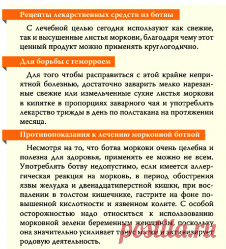 Геморрой лечат морковной ботвой