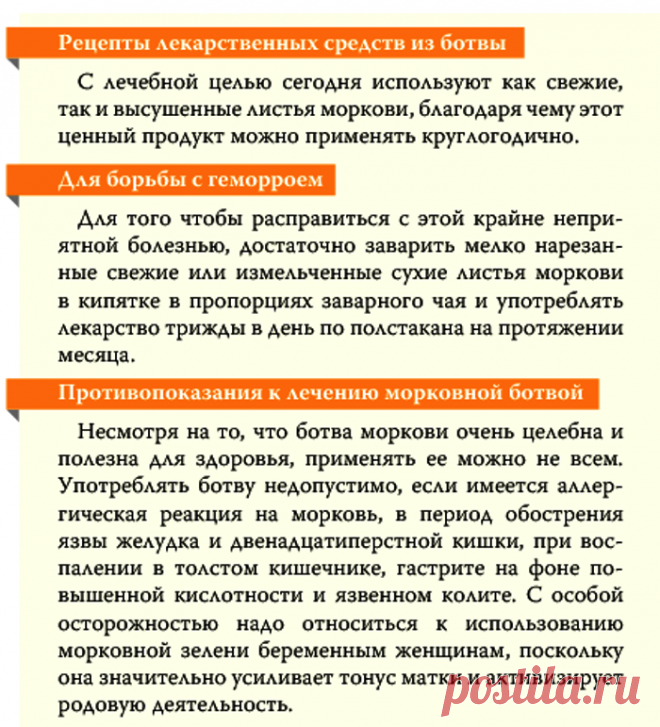 Геморрой лечат морковной ботвой