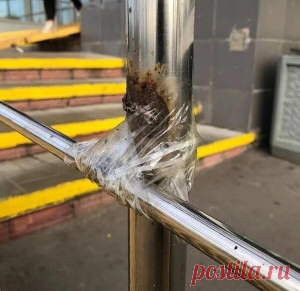 Пофигисты из секты И так сойдет нас опять поразили