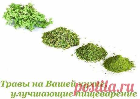 Травы на Вашей кухне, улучшающие пищеварение