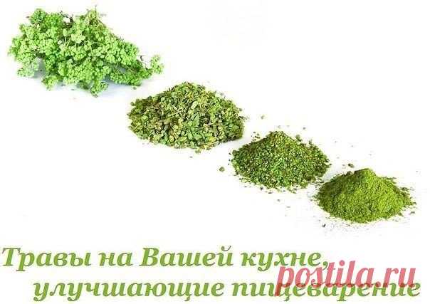 Травы на Вашей кухне, улучшающие пищеварение