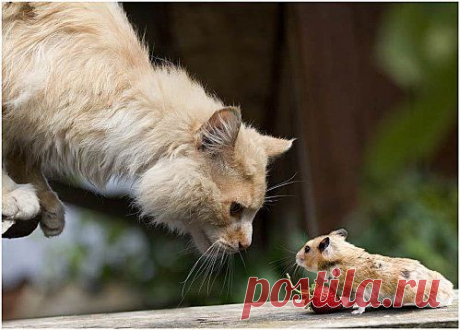 Мы думаем, что жизнь сложна,
Виним судьбу за все потери...
Но может в нас самих вина?
Мы сами &quot;закрываем двери&quot;...
Молчим, когда хотим кричать...
Стоим на месте месяцами...